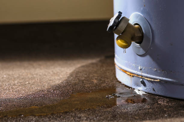Professional Water damage restoration in Palm Beach Shores, FL