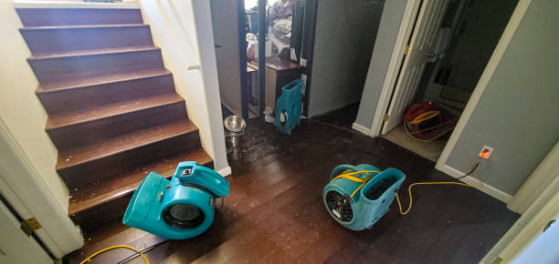 Best Water damage restoration near me  in Palm Beach Shores, FL