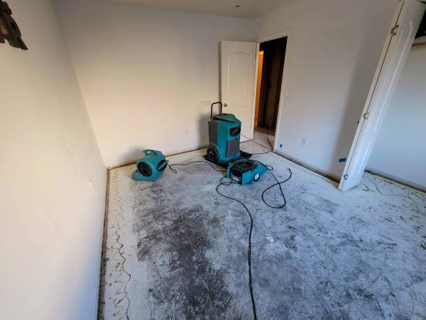 Best Water damage contractors near me  in Palm Beach Shores, FL