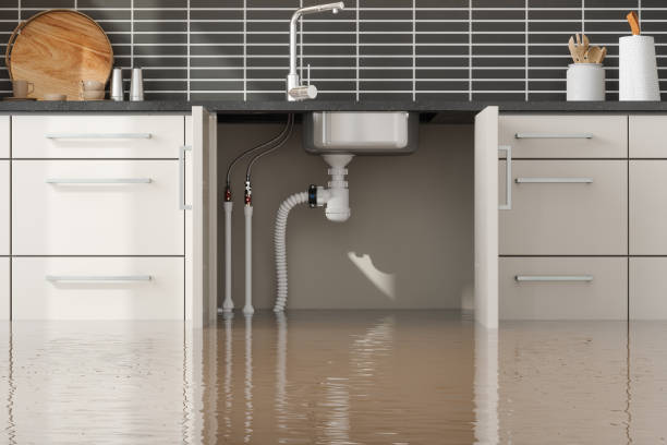 Best 24/7 water damage repair  in Palm Beach Shores, FL