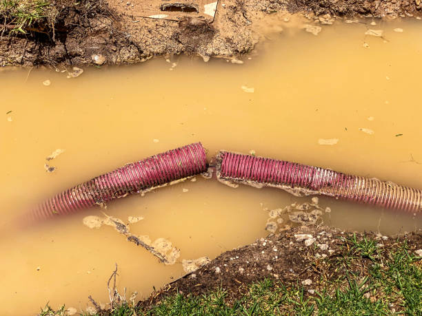 Water damage restoration experts in Palm Beach Shores, FL