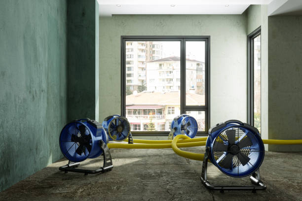Best Emergency water damage restoration  in Palm Beach Shores, FL