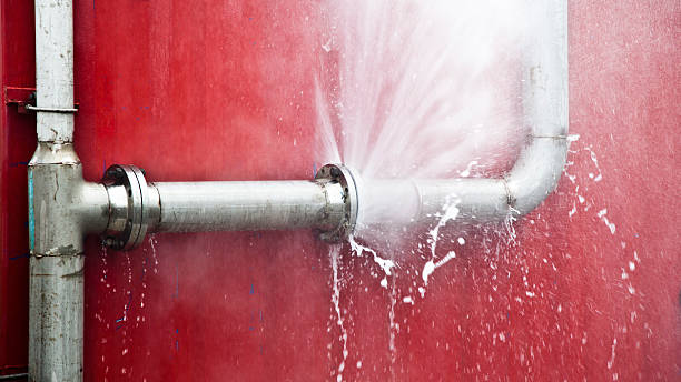 Best Flood restoration services  in Palm Beach Shores, FL